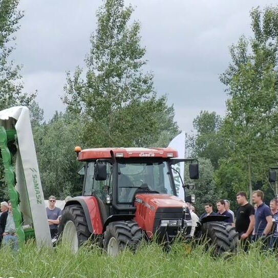 Lokeren-2